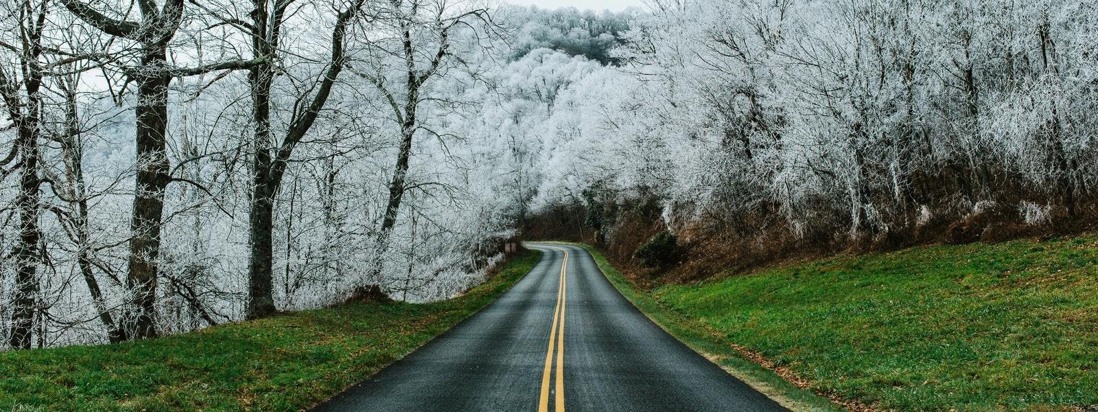 Explore the Best Scenic Drives Virginia Has to Offer: A Road-Tripper's Guide from Charlottesville