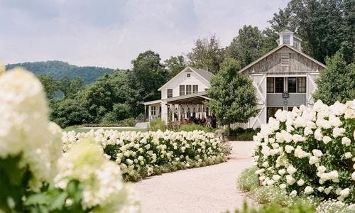 Pippin Hill Farm and Winery