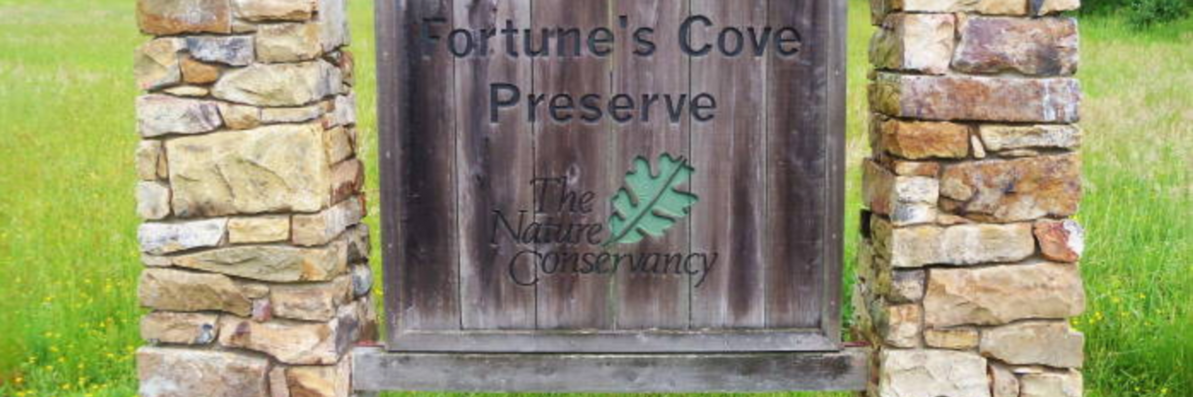 Fortune's Cove Preserve